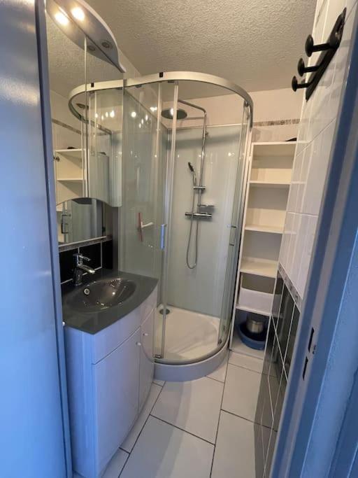 Superbe Appartement 6 Personnes Avec Piscine Secteur Richelieu, A 400M De La Plage Et A 650M Du Centre Port Agde Dış mekan fotoğraf